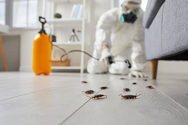 Commercial Kitchen Cockroach Control in Covington